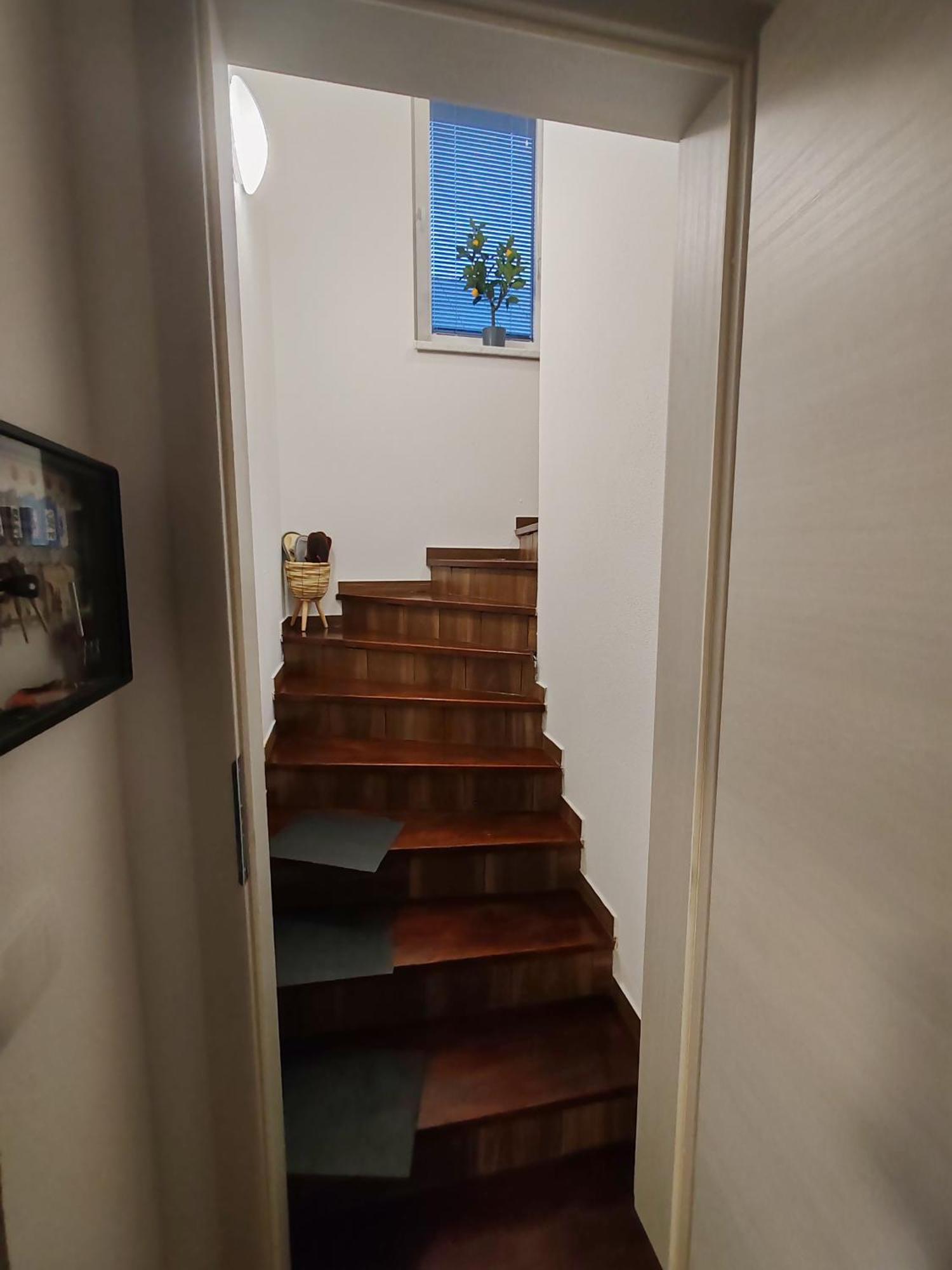 Apartments Malivojevic Zirovnica Екстериор снимка